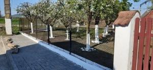 OFERTA in Băcia, Hunedoara ! Proprietate 2 case + Cabană + Livadă - imagine 13