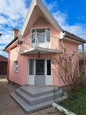 OFERTA in Băcia, Hunedoara ! Proprietate 2 case + Cabană + Livadă - imagine 5