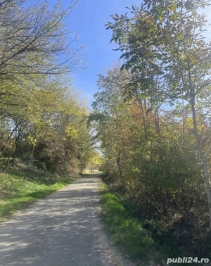 Vând teren intravilan |Potoc 