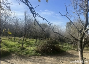 Vând teren intravilan |Potoc  - imagine 2