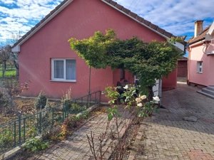 OFERTA in Băcia, Hunedoara ! Proprietate 2 case + Cabană + Livadă - imagine 14