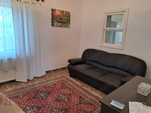 OFERTA in Băcia, Hunedoara ! Proprietate 2 case + Cabană + Livadă - imagine 7