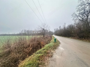 Giroc Teren 30.000mp PUZ APROBAT Pentru Case | Asfalt - Langa Padure - imagine 5