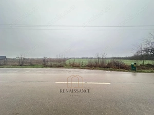 Giroc Teren 30.000mp PUZ APROBAT Pentru Case | Asfalt - Langa Padure - imagine 3