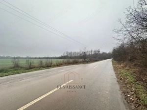 Giroc Teren 30.000mp PUZ APROBAT Pentru Case | Asfalt - Langa Padure - imagine 4