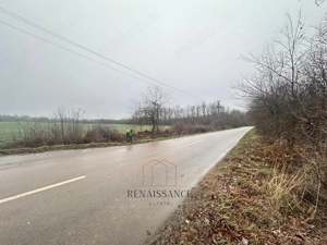 Giroc Teren 30.000mp PUZ APROBAT Pentru Case | Asfalt - Langa Padure - imagine 2