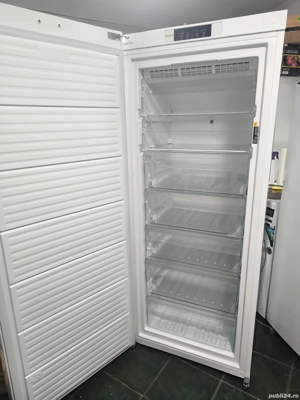 309 L Congelator vertical Bauknecht