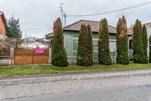 Casă în Dorobanți cu livadă + curte 2500 mp