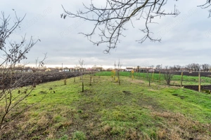 Un domeniu rural, definit prin spațiu și libertate în Dorobanți - imagine 2
