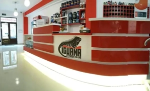 Angajam receptionera!