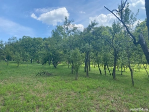 Vândă teren cu casa demolabila  - imagine 6