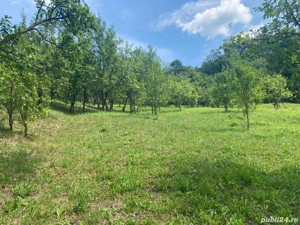 Vândă teren cu casa demolabila  - imagine 9