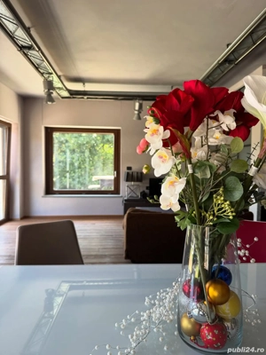 Apartamente in regim hotelier(Torino-regiunea Almesse) - imagine 4