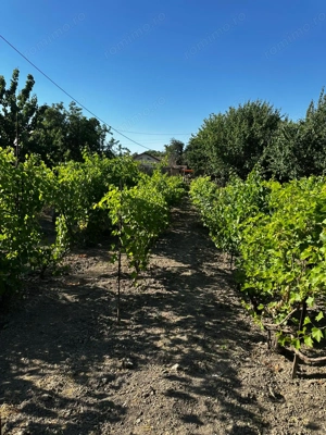 Teren intravilan - imagine 3