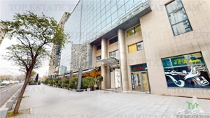 Spatiu de Birouri de 350 mp in Zona Piata Victoriei - imagine 17