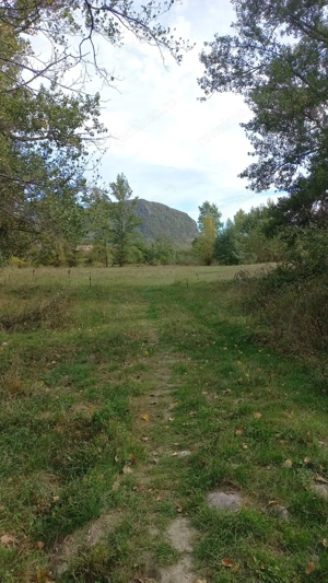 Vând teren  4 euro mp MEHADIA la 8 Km de Băile Herculane - imagine 6