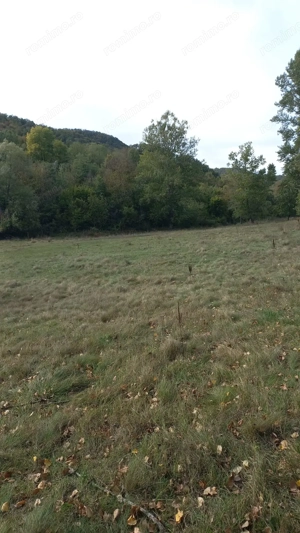 Vând teren  4 euro mp MEHADIA la 8 Km de Băile Herculane - imagine 4