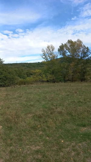 Vând teren  4 euro mp MEHADIA la 8 Km de Băile Herculane - imagine 5