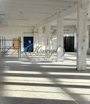 Hala depozitare/productie in Piata 1 Mai - imagine 5