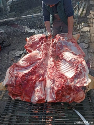 carcasa 100% natural 