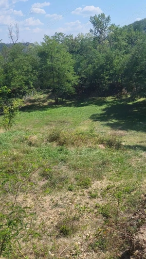 Vând teren intravilan  - imagine 4