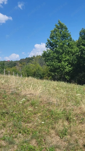 Vând teren intravilan  - imagine 2