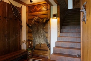 Disponibila de craciun si revelion - imagine 3