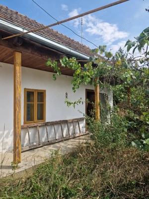 Terenuri intravilane (arabil + livadă + casă din chirpici) - imagine 7