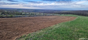  Teren intravilan 3.000 mp  Săldăbagiu de Munte,la doar 8 min de Oradea - imagine 8