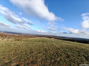  Teren intravilan 3.000 mp  Săldăbagiu de Munte,la doar 8 min de Oradea - imagine 5