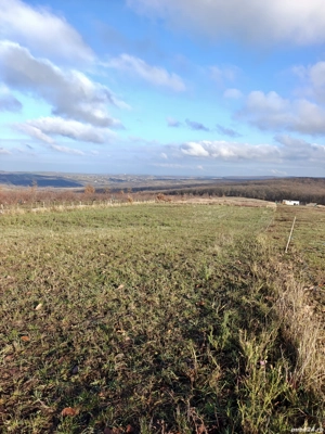  Teren intravilan 3.000 mp  Săldăbagiu de Munte,la doar 8 min de Oradea - imagine 6