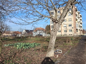 BRASADAS vinde 2000 mp. teren intravilan Diana Titulescu.