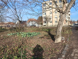 BRASADAS vinde 2000 mp. teren intravilan Diana Titulescu. - imagine 5