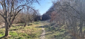 Teren intravilan DN7 Bujoreni (zona Muzeul Satului) - Amplasament unic - imagine 8