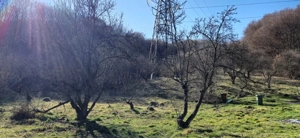 Teren intravilan DN7 Bujoreni (zona Muzeul Satului) - Amplasament unic - imagine 7