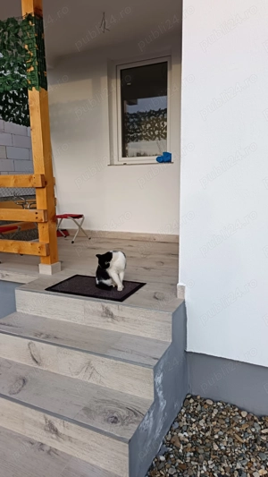 Casă nouă la cheie 6km de Bistrița  - imagine 2