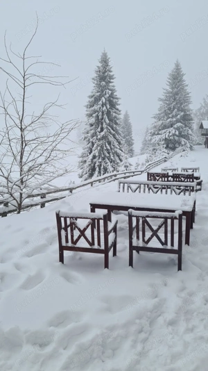 Distractie Reciproc avantajoasa