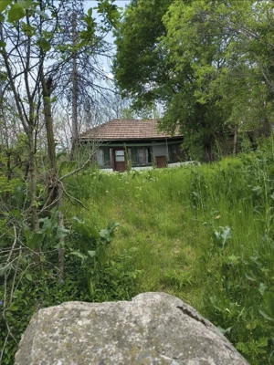 Teren intravilan si extravilan de vanzare 4000 m2, Buzau - imagine 2