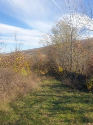 Teren intravilan si extravilan de vanzare 4000 m2, Buzau - imagine 8