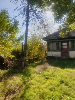 Teren intravilan si extravilan de vanzare 4000 m2, Buzau - imagine 5