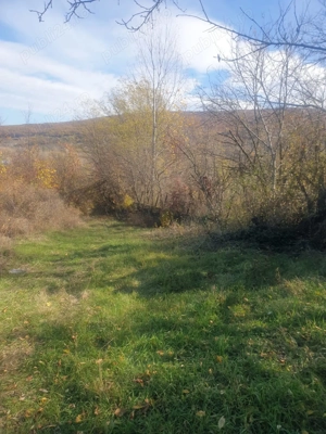 Teren intravilan si extravilan de vanzare 4000 m2, Buzau - imagine 3