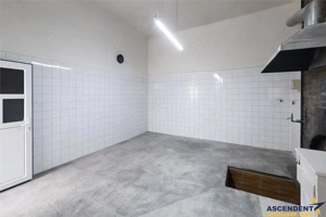 3D!Ansamblu casa+productie+comercial, 3 corpuri,acces stradal,Tudor,Targu Mures, potential ridicat - imagine 3