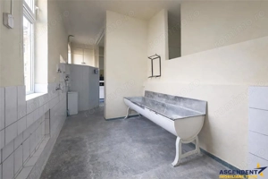 3D!Ansamblu casa+productie+comercial, 3 corpuri,acces stradal,Tudor,Targu Mures, potential ridicat - imagine 6