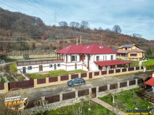 Proprietate premium cu SPA,sauna,casa oaspeti,teren 1.348 mp,acces padure, Sfantu Gheorghe,Simeria (