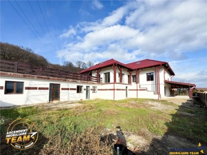 Proprietate premium cu SPA,sauna,casa oaspeti,teren 1.348 mp,acces padure, Sfantu Gheorghe,Simeria ( - imagine 19