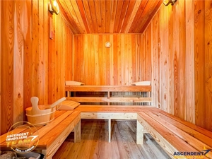 Proprietate premium cu SPA,sauna,casa oaspeti,teren 1.348 mp,acces padure, Sfantu Gheorghe,Simeria ( - imagine 6