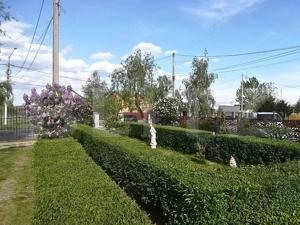 Unde Tradiția Întâlnește Confortul – Domeniu Rustic 3 Min. de Târgoviște - imagine 2