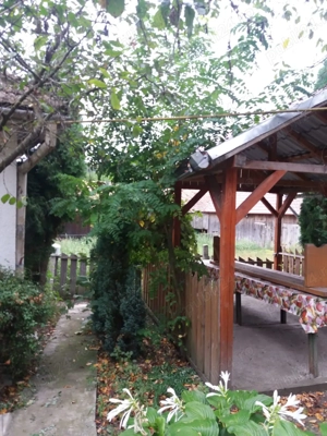 Se vinde!!!! Casă și teren Sanmihaiul de Câmpie! - imagine 4