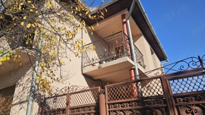 Proprietar, vand casa in Faget - imagine 4