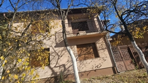 Proprietar, vand casa in Faget - imagine 2